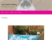Tablet Screenshot of citycentralcattery.co.uk